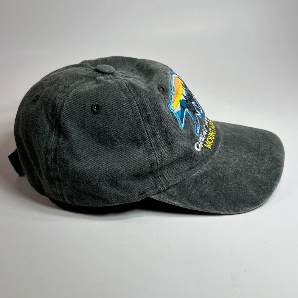 CSI Great Smoky Mountains Black Bear Embroidered Hat Kids Charcoal‎ Grey Cap